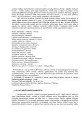 Adolfas Hitleris ir Trečiasis Reichas 7 puslapis