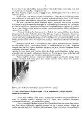 Adolfas Hitleris ir Trečiasis Reichas 9 puslapis