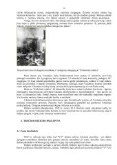 Adolfas Hitleris ir Trečiasis Reichas 10 puslapis