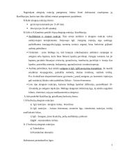 Alerginio uždegimo etiologija ir patogenezė 3 puslapis