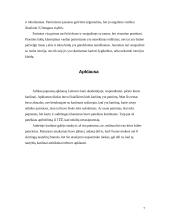 Antano Maceinos požiūris į tautiškumą 7 puslapis