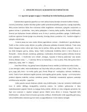 Apeiginė magija agrariniuose papročiuose 4 puslapis