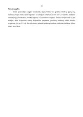 Apsinuodijimai, apsinuodijimų rūšys, priežastys ir pasekmės 12 puslapis