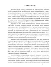 Archeologiniai paminklai 12 puslapis