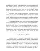 Archeologiniai paminklai 13 puslapis