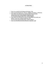 Archeologiniai paminklai 15 puslapis