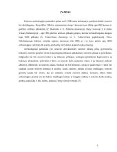 Archeologiniai paminklai 2 puslapis