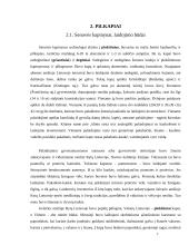 Archeologiniai paminklai 6 puslapis