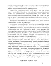 Archeologiniai paminklai 7 puslapis