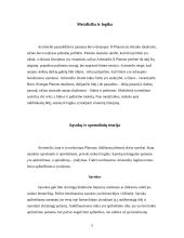 Filosofo Aristotelio logika 5 puslapis