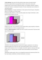 Atstumtųjų vaidmuo klasėje 11 puslapis