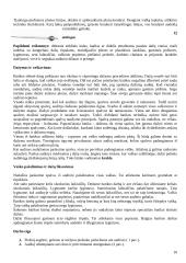 Audinių marginimo technologijos ir būdai 11 puslapis