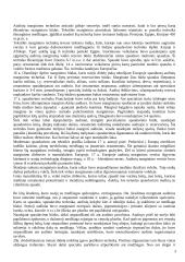 Audinių marginimo technologijos ir būdai 4 puslapis