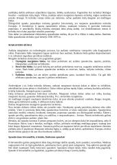 Audinių marginimo technologijos ir būdai 5 puslapis