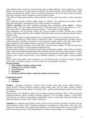 Audinių marginimo technologijos ir būdai 10 puslapis