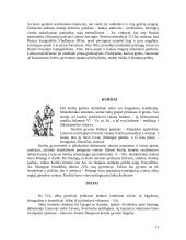Baltų kalbos šeima 13 puslapis