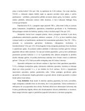 Baltų drabužiai ir papuošalai viduramžiais 4 puslapis