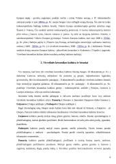 Baltų formavimasis 4 puslapis