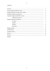 Banginių medžioklė 2 puslapis