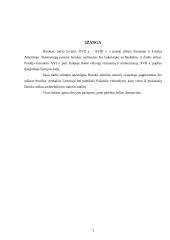 Baroko epocha 3 puslapis