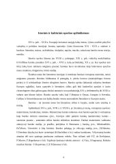 Baroko epocha 4 puslapis