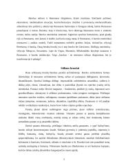 Baroko epocha 5 puslapis
