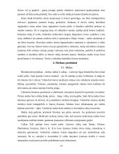 Bitininkystė lietuvių liaudies papročiuose 10 puslapis