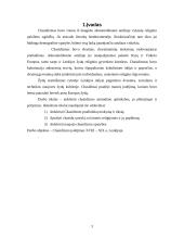 Chasidizmas Lenkijoje 3 puslapis