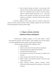 Cheminė ir radiacinė žvalgyba 11 puslapis