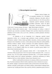 Cheminė ir radiacinė žvalgyba 6 puslapis