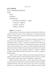 Corynebacterium Diphtheriae 2 puslapis