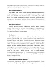 Corynebacterium Diphtheriae 5 puslapis