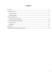 Lietuvos dangaus dievybės 2 puslapis