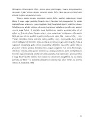 Lietuvos dangaus dievybės 11 puslapis