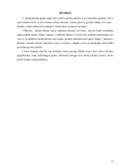 Lietuvos dangaus dievybės 12 puslapis