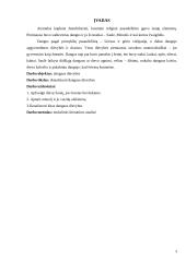 Lietuvos dangaus dievybės 3 puslapis