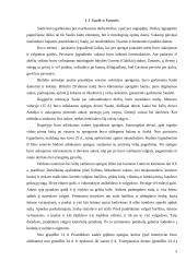 Lietuvos dangaus dievybės 5 puslapis