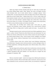 Lietuvos dangaus dievybės 10 puslapis