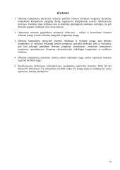 Delninių kompiuterių operacinė sistema 16 puslapis