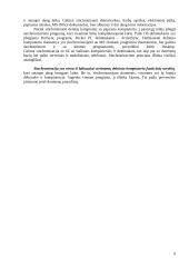 Delninių kompiuterių operacinė sistema 9 puslapis