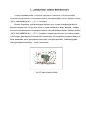 Dokumentų laminavimo procesas, aparatai ir kitos medžiagos 12 puslapis