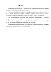 Dokumentų laminavimo procesas, aparatai ir kitos medžiagos 3 puslapis