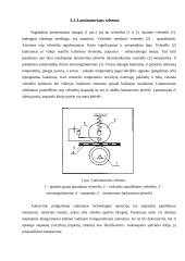 Dokumentų laminavimo procesas, aparatai ir kitos medžiagos 5 puslapis
