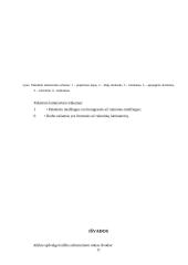 Dokumentų laminavimo medžiagos, būdai bei laminatoriai 11 puslapis