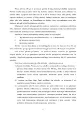 Dokumentų laminavimo medžiagos, būdai bei laminatoriai 5 puslapis