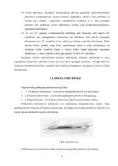 Dokumentų laminavimo medžiagos, būdai bei laminatoriai 6 puslapis