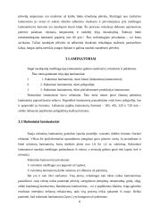 Dokumentų laminavimo medžiagos, būdai bei laminatoriai 8 puslapis