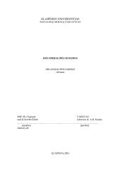DOS operacinės sistemos 2 puslapis