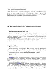 DOS operacinės sistemos 12 puslapis