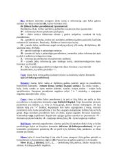 DOS operacinės sistemos 13 puslapis